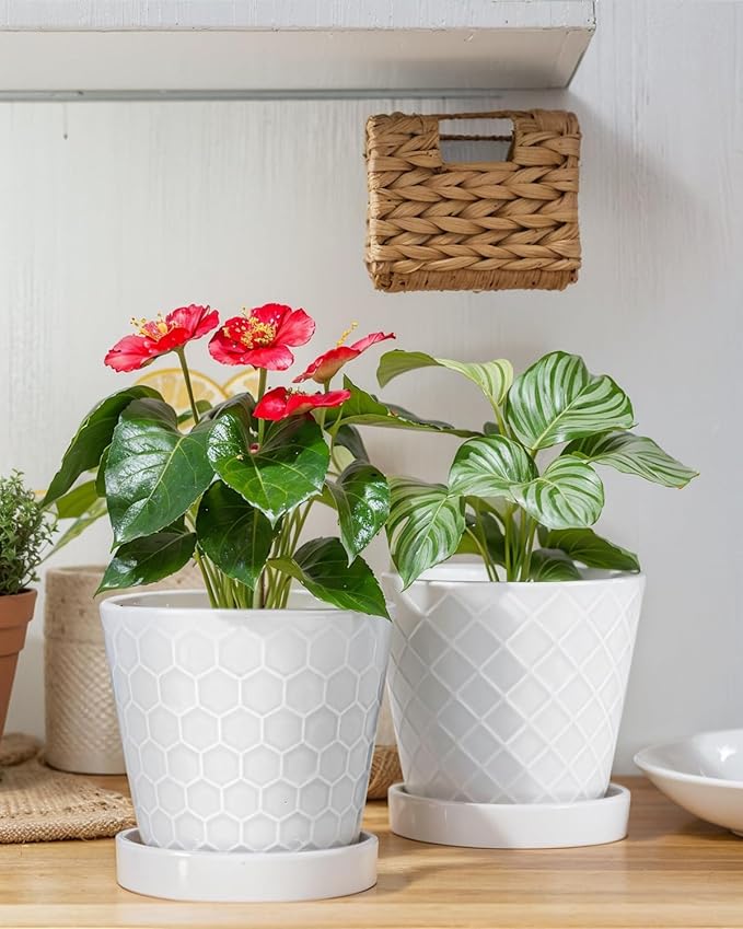 EFISPSS Flower Planter –5 inch Ceramic Plant Pots - Image 4