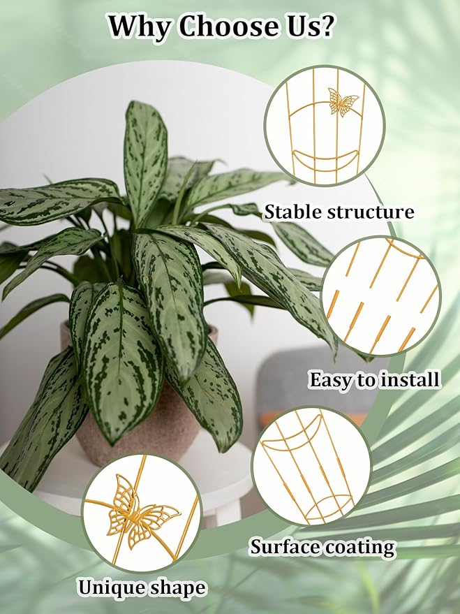2 Pcs Tall Trellis for Potted Plants, Plant Pothos Climber Support for Monstera - Image 3