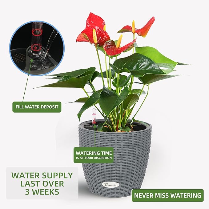 Dexceder 9x8 Inches Rattan Self Watering Planter Indoor Outdoor, Inner Pot - Image 4