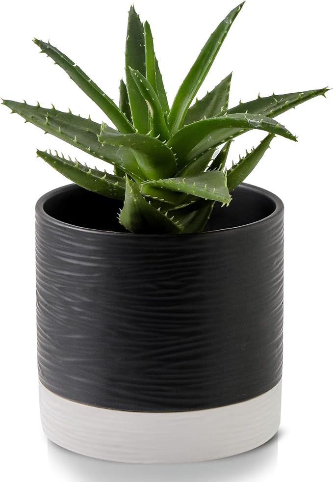 Nihow Ceramic Plant Pot: 6 Inch Planter by Nihow