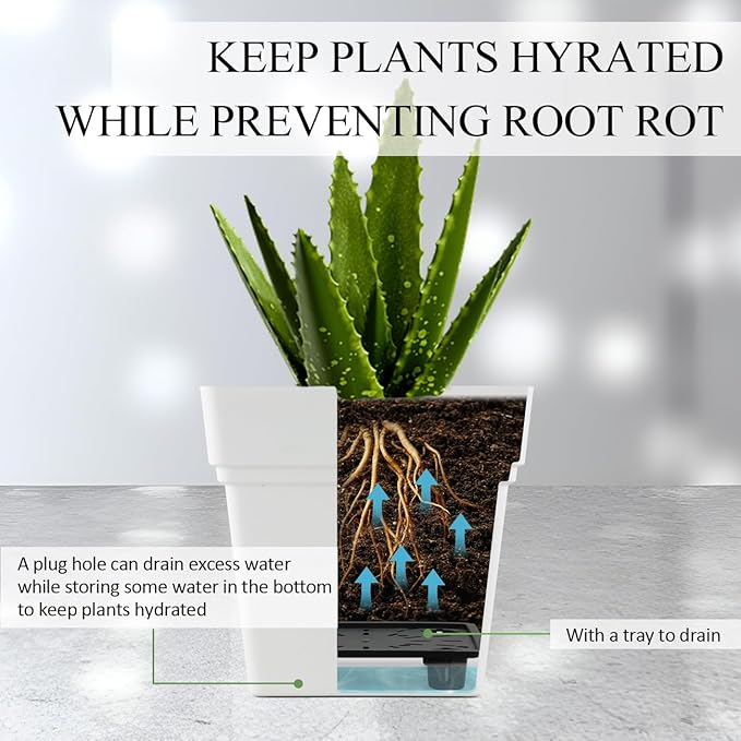 6-Pack 7 Inch Square Planters - Image 3