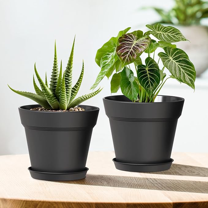 6 Inch Thick Plastic Plant Pots - Image 6