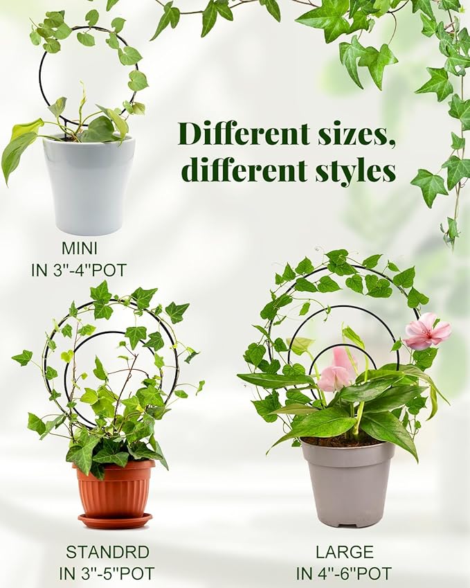 3 Pcs Unique Round Hoya Garden Trellis, Different Small Houseplant Trellis - Image 6