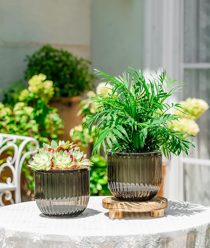 Melphoe Self Watering Pots for Indoor Plants Planter, 6.5 Inch 2 Pack Planters - Image 3
