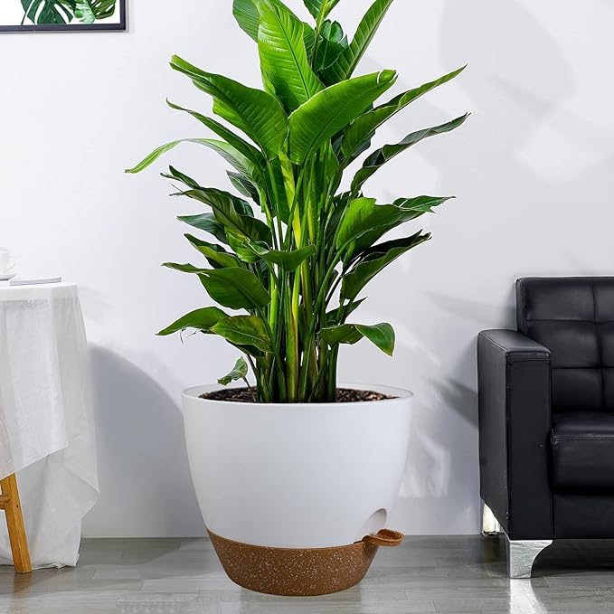 12 inch Large Self Watering Pots, Plastic Planters - Image 6