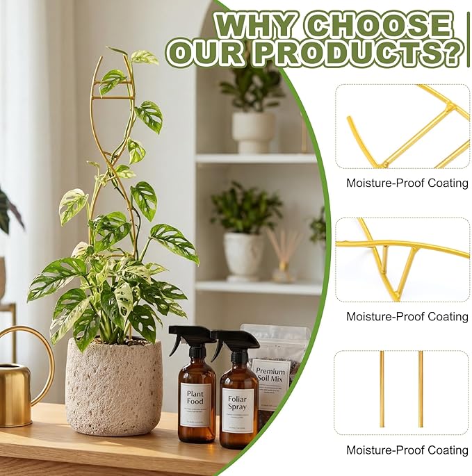3 Pcs 15.75 Inch Indoor Plant Trellis - Image 3