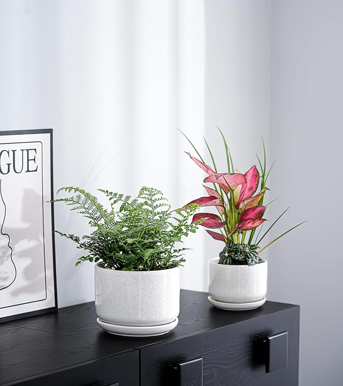Ton Sin Plant Pots, 4.1+5.1+6.5 inch, Ceramic Planters - Image 7
