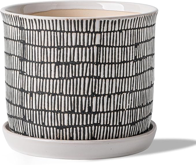 8 Inch Plant Pot: Ceramic Planter by Chubacoo