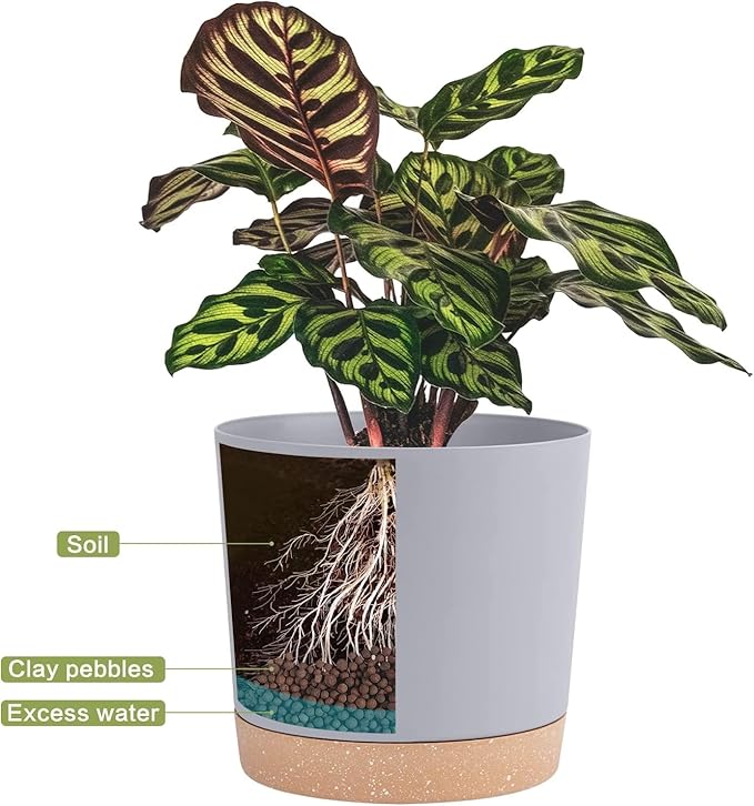 QCQHDU 8 inch Plant Pot, 2 Pack Planters - Image 4