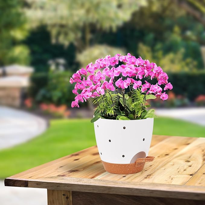 6 Inch Orchid Pots with Holes, 2 Pack Self Watering Planters - Image 7