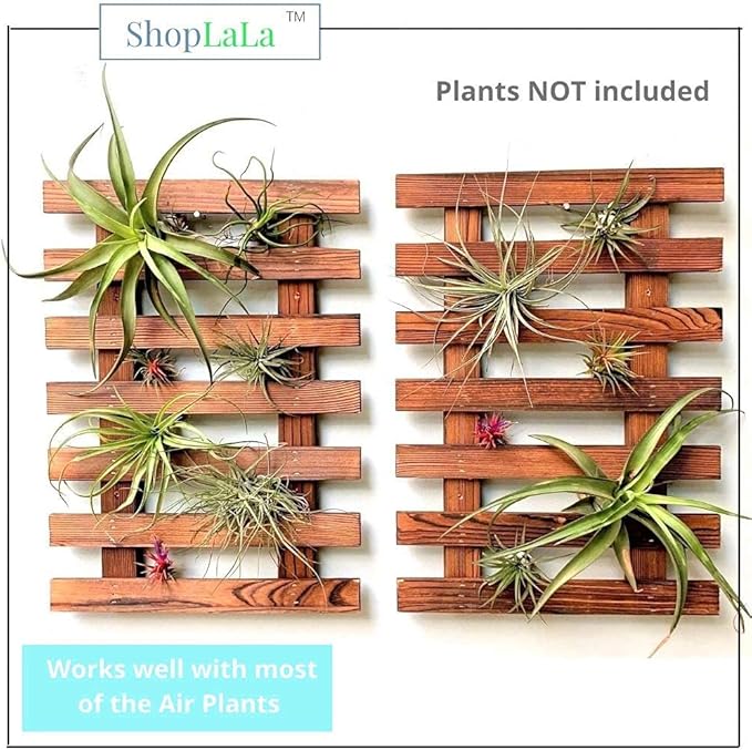 ShopLaLa Wall Planter - Image 6