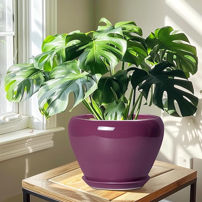 10 Inch Plant Pot - Image 6