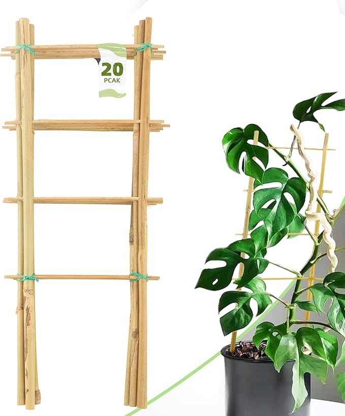 Avalution 20 Pack Bamboo Trellis by Avalution