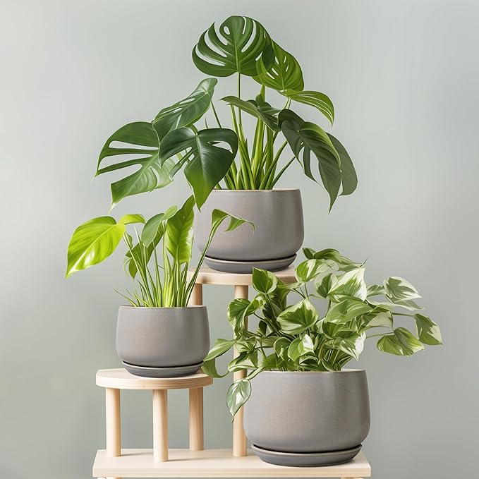 G EPGardening Ceramic Planter 9 Inch - Image 7