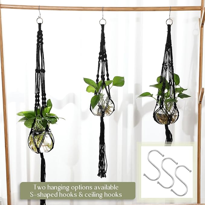 6 Pcs Plastic Plant Propagation - Image 3