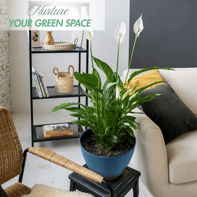 8/10/12 Inch Large Self Watering Pots - Image 2