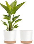 kubvici Plant Pots for Indoor Plants, 2 Pack 12 Inch Pots for Plants, by kubvici