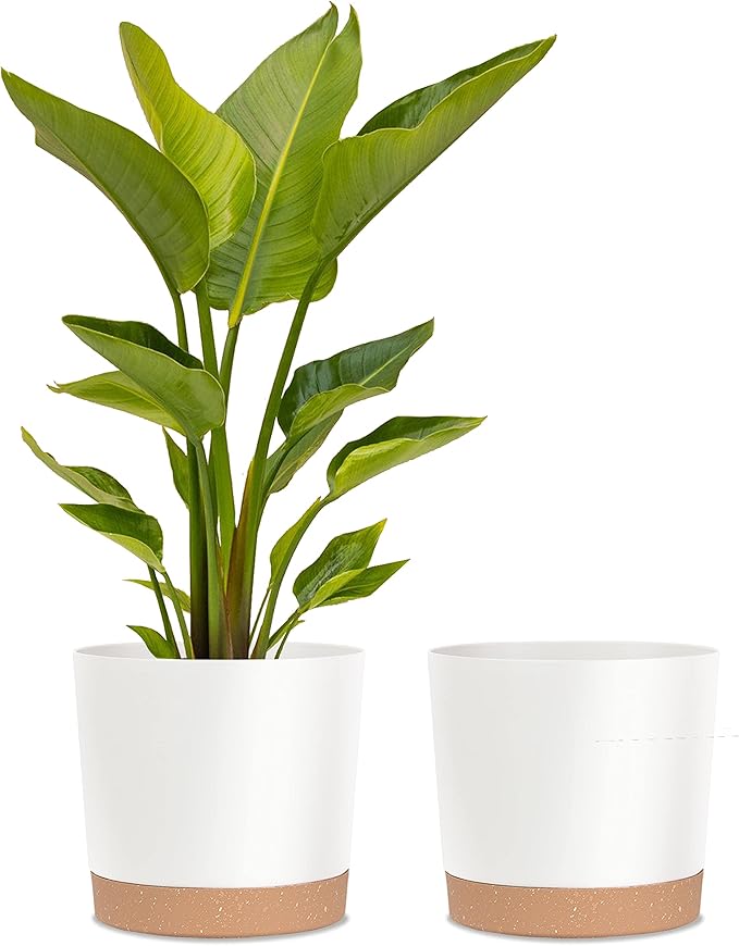 kubvici Plant Pots for Indoor Plants, 2 Pack 12 Inch Pots for Plants, by kubvici