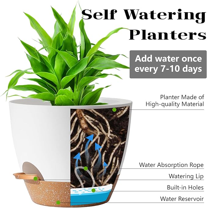 White Self Watering Pots with Drainage Planting Pot - Image 3