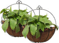 Tosnail 2 Pack Metal Wall Hanging Planter Basket by Tosnail