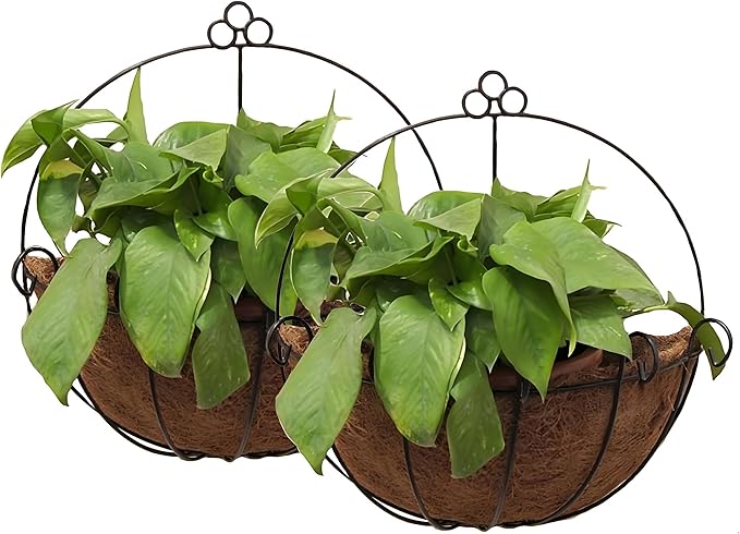 Tosnail 2 Pack Metal Wall Hanging Planter Basket by Tosnail