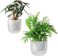 Melphoe Self Watering Pots for Indoor Plants Planter, 6.5/5.3 Inch 2 Pack by Melphoe