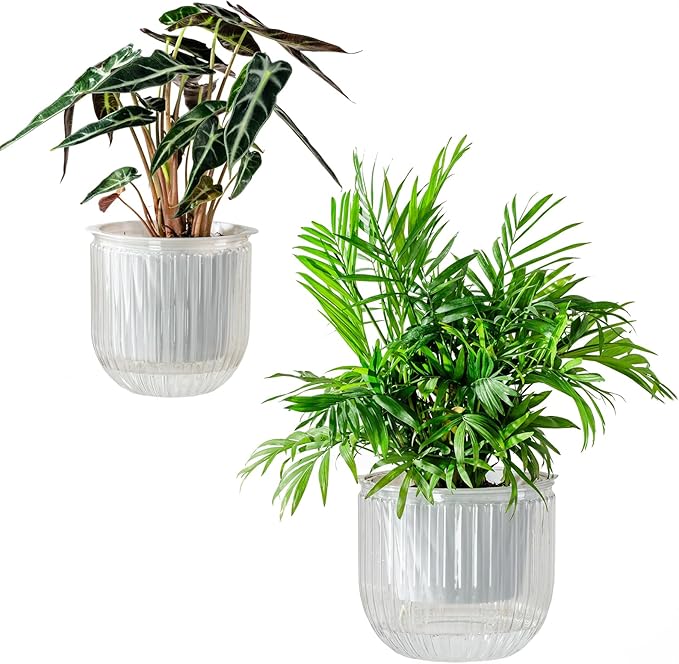 Melphoe Self Watering Pots for Indoor Plants Planter, 6.5/5.3 Inch 2 Pack by Melphoe
