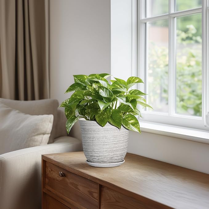 Ceramic Pots for Plants - Image 5