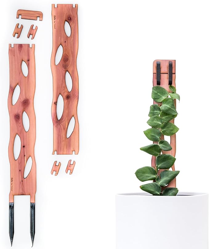 Treleaf Zella Regular Starter Kit – Wooden Extendable Plant Trellis by TRELEAF