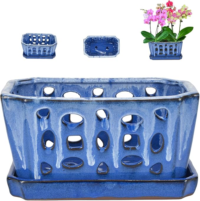 W&W Orchid Pot with Holes and Saucer by WWHomeDecor