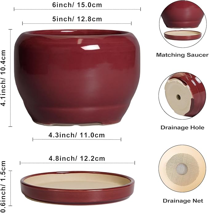 SQOWL 6 Inch Plant Pot - Image 3