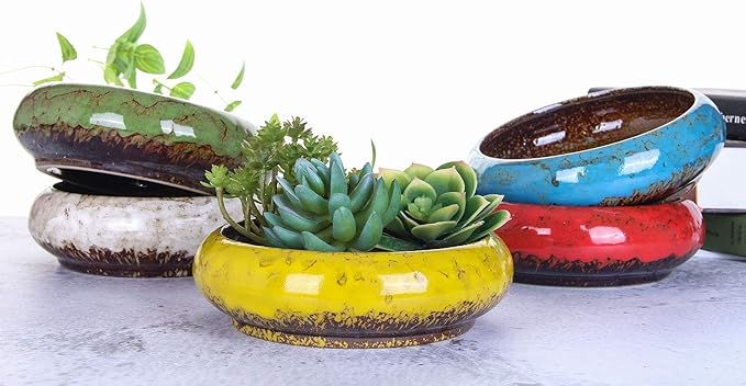 VanEnjoy 7.1 inch Round Large Shallow Succulent Ceramic Glazed Planter Pots - Image 7