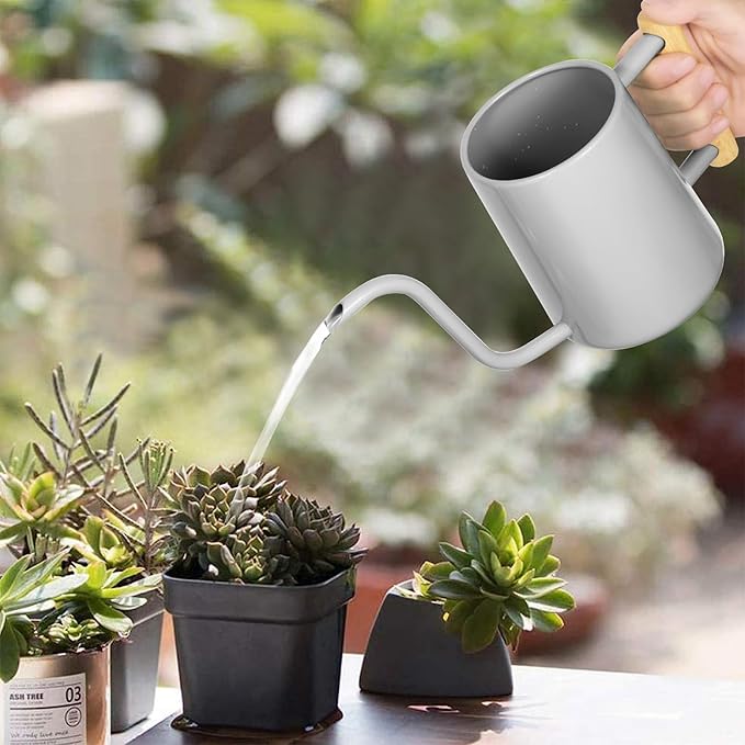 Watering Can Indoor Plants, 35 oz/1000 ml Metal Stainless Steel Watering Can Pot - Image 3