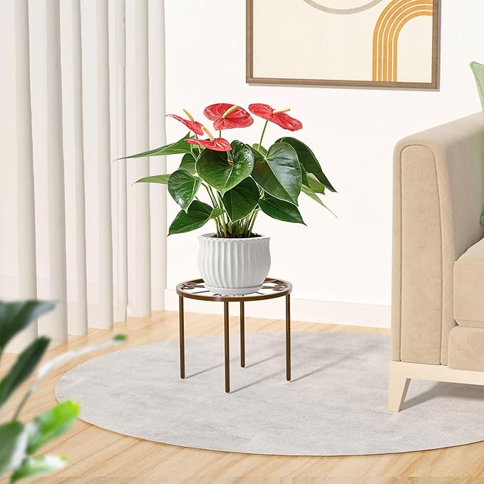 1 PCS Plant Stand, -Heavy Duty Metal Stand Decorates Plants, Anti-Rust Flower - Image 6