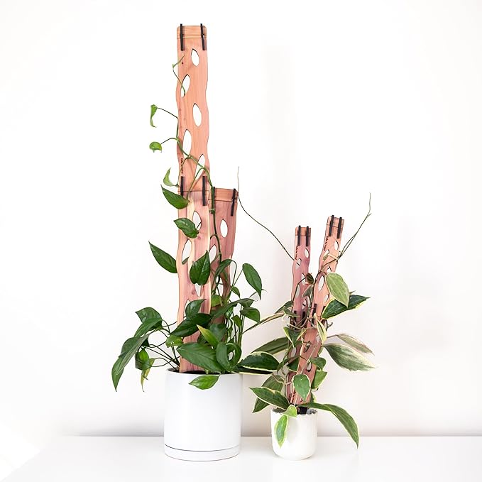Treleaf Zella Grande Extension Kit by TRELEAF
