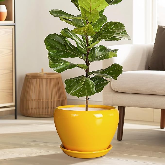 Ceramic Planter - Image 2