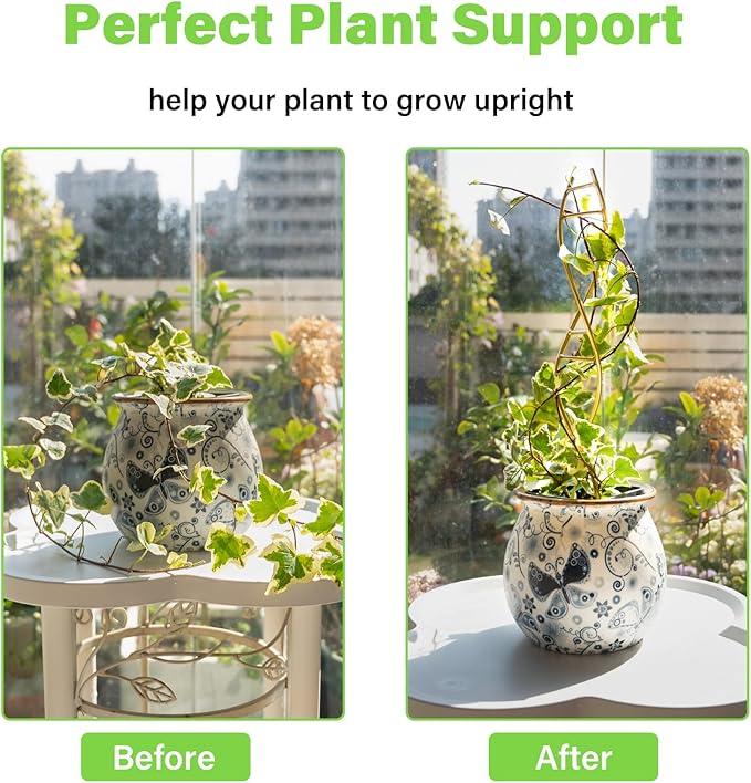 3PCS DNA Plant Trellis Indoor and Outdoor - Image 3