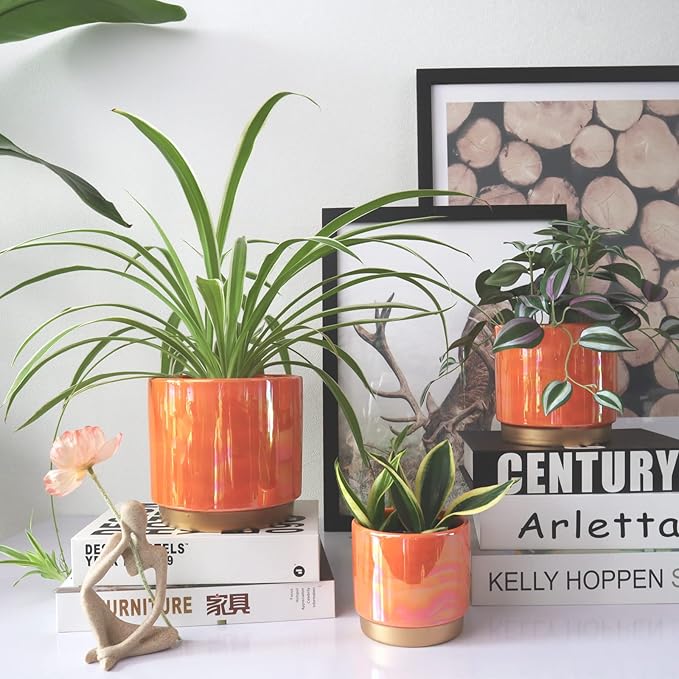 Gepege Ceramic Indoor Pots for Plants, Rainbow Pearl Glaze Planter - Image 7