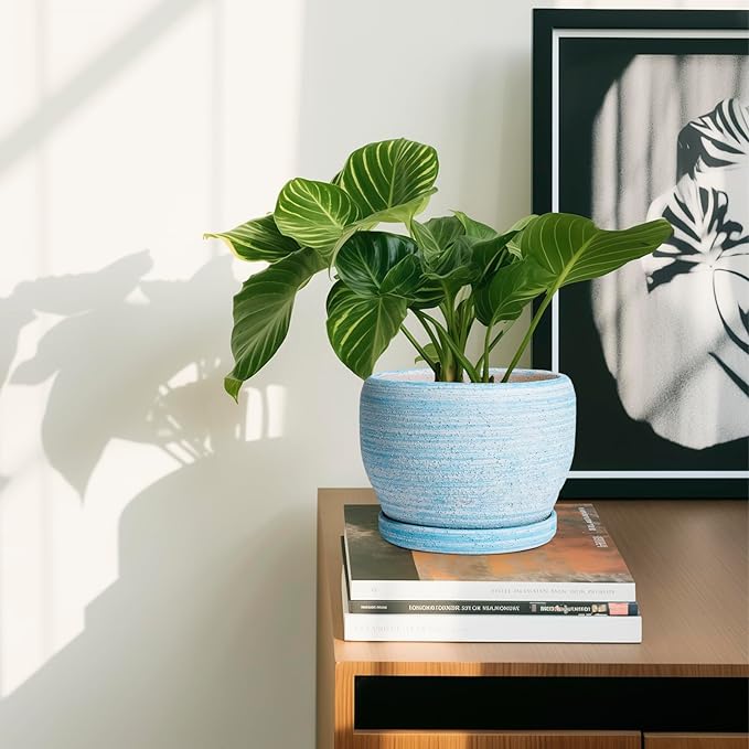 SQOWL Ceramic Planters for Indoor Plants - Image 6