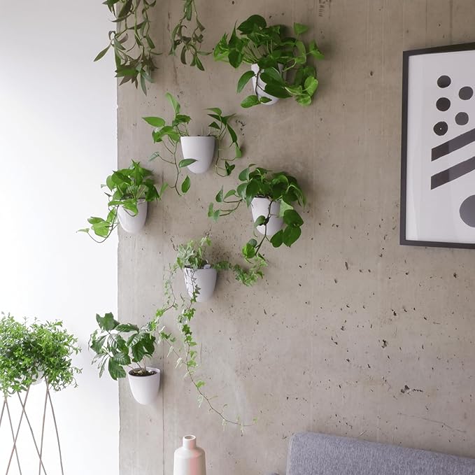 Make Good PlantPod Luxe Self-Watering Wall Planters - Image 7