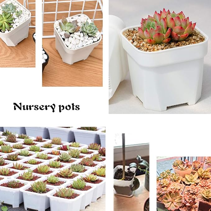 24 Pack 3 Inch White Square Plastic Plant Pots - Image 3