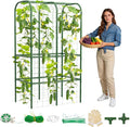 65" Tall Cucumber Trellis for Raised Bed, Garden Trellis for Climbing Plants by HOYEJYOU