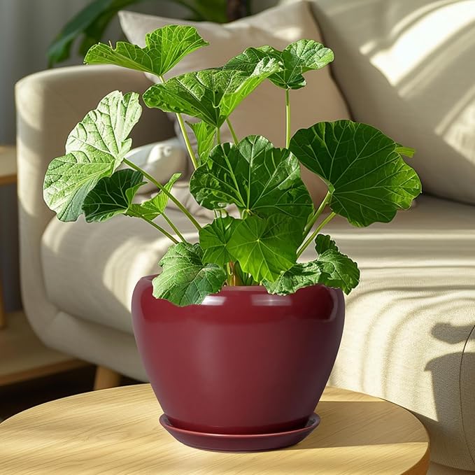 Ceramic Planter - Image 4