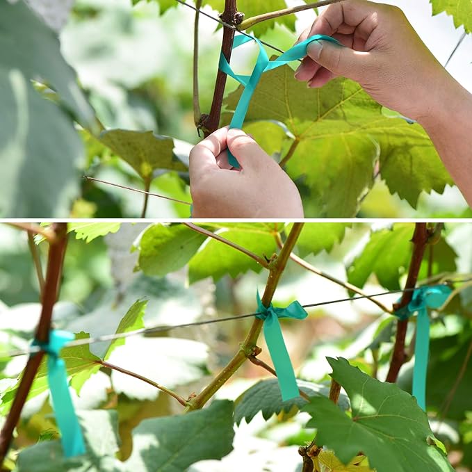 2 Pcs 150 Feet x 1/2" Wide Stretch Tie Tape Green Plant Garden Tie, Garden - Image 3