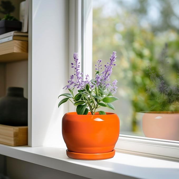 SQOWL Ceramic Plants Pots - Image 2