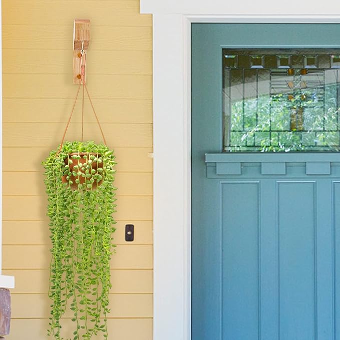 7-Inch Wooden 7-Shaped Wall Hook Plant Hanger – Ideal - Image 5