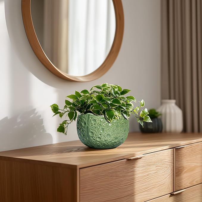 6 Inch Plant Pot - Image 8