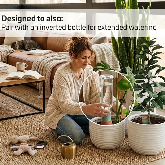 Ollas Plant Watering Globes - Image 3