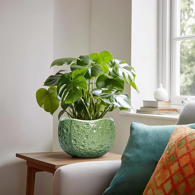 8 Inch Plant Pot - Image 3