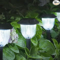 AOSEA 12000K 10 Pack Solar Lights Outdoor IP65 Waterproof, LED Solar Lights by AOSEA